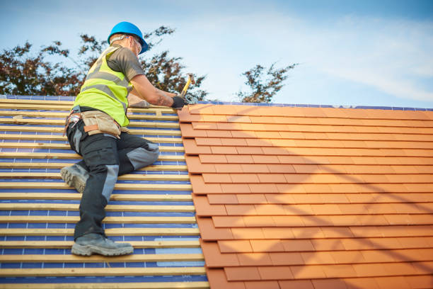 Best Gutter Installation and Repair  in New Tazewell, TN
